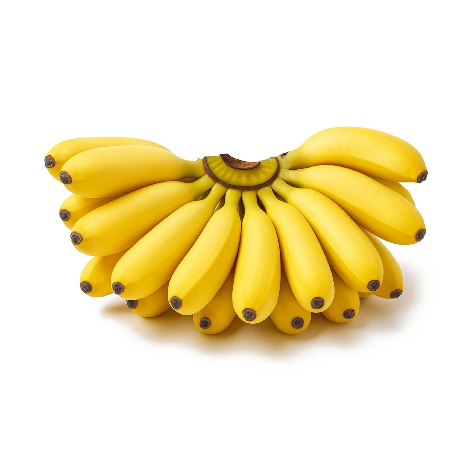 Elichi - Banana - Yellow