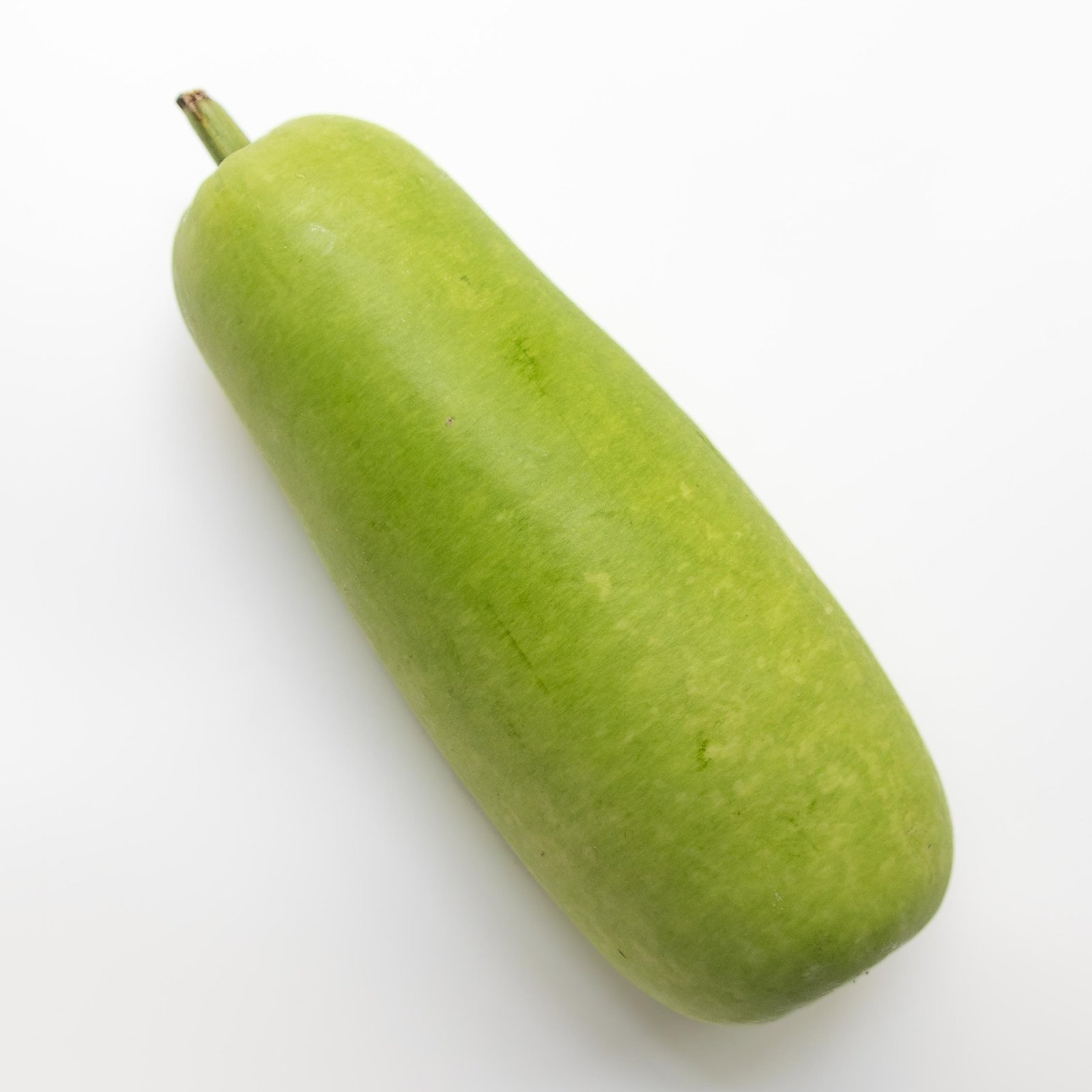 Long squash - Chinese (OPO)