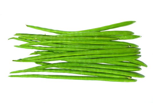 Drumstick (Moringa Stick)